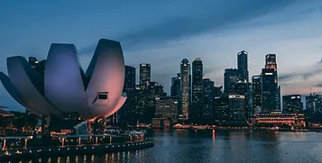 Singapore Self-employed EP