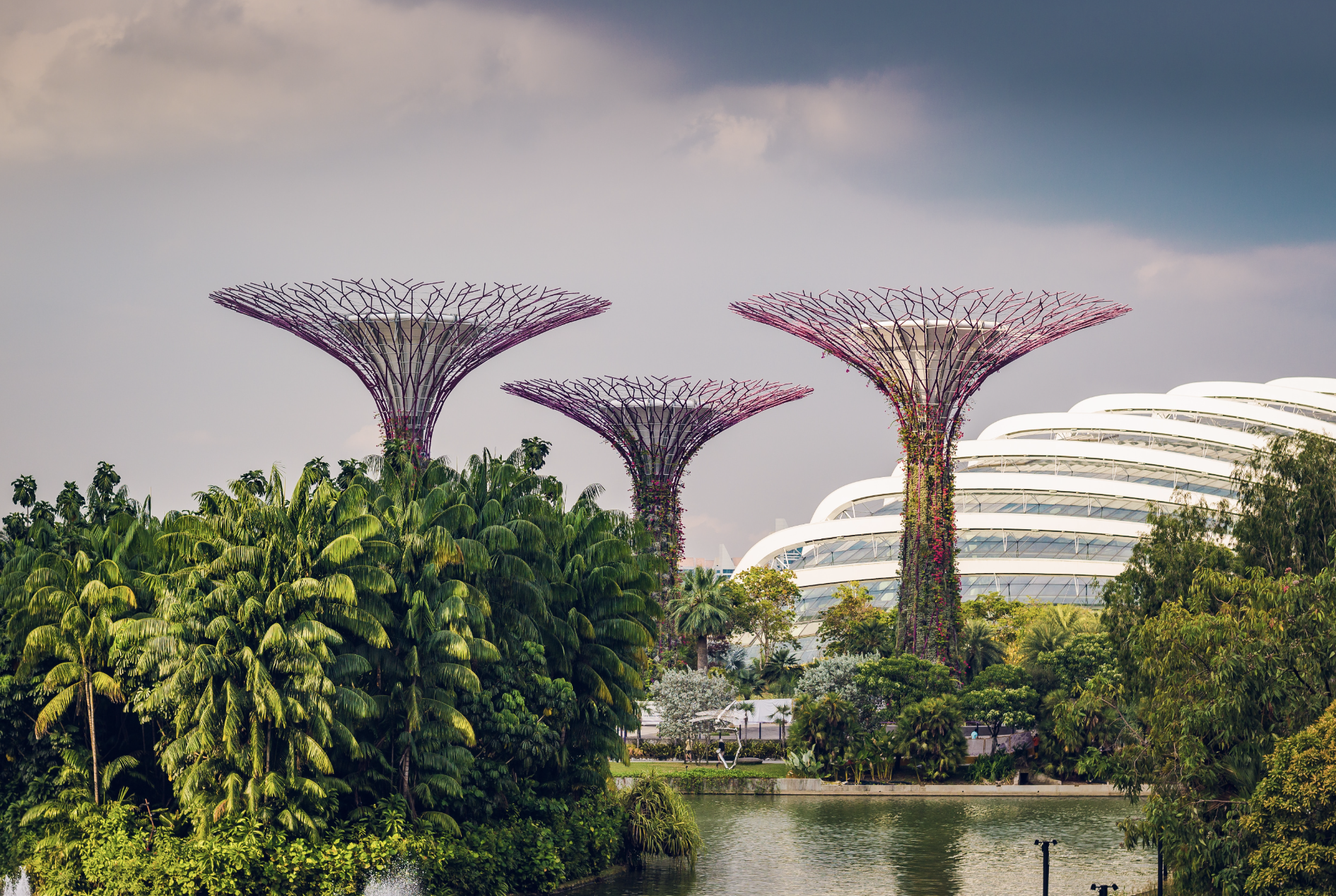 Singapore EntrePass (ENT)