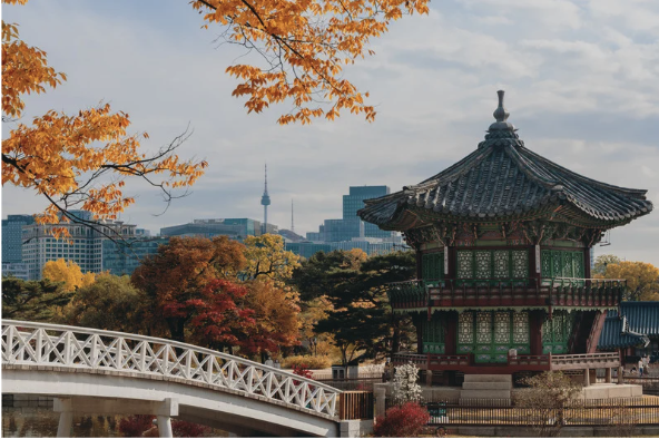 South Korea Digital Nomad Visa Program